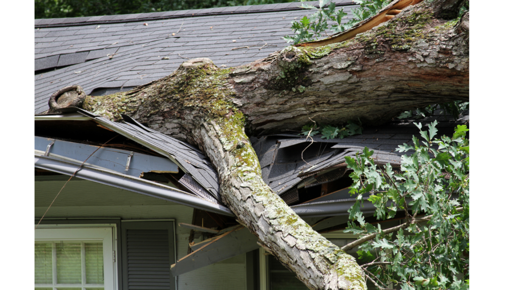Simplified Policy Management for Southlake Homeowners
